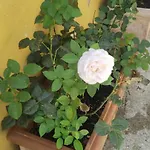 Διαμέρισμα Elisa E Carla House Beautiful On The Cassia *
