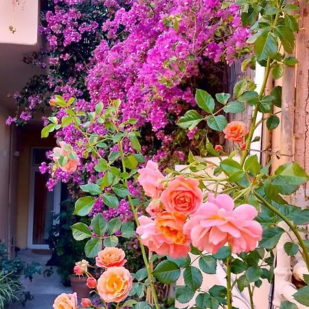 Elisa E Carla House Beautiful On The Cassia * Rome