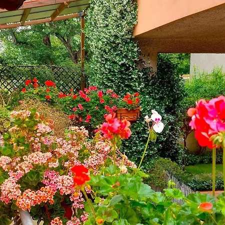 Apartment Elisa E Carla House Beautiful On The Cassia *